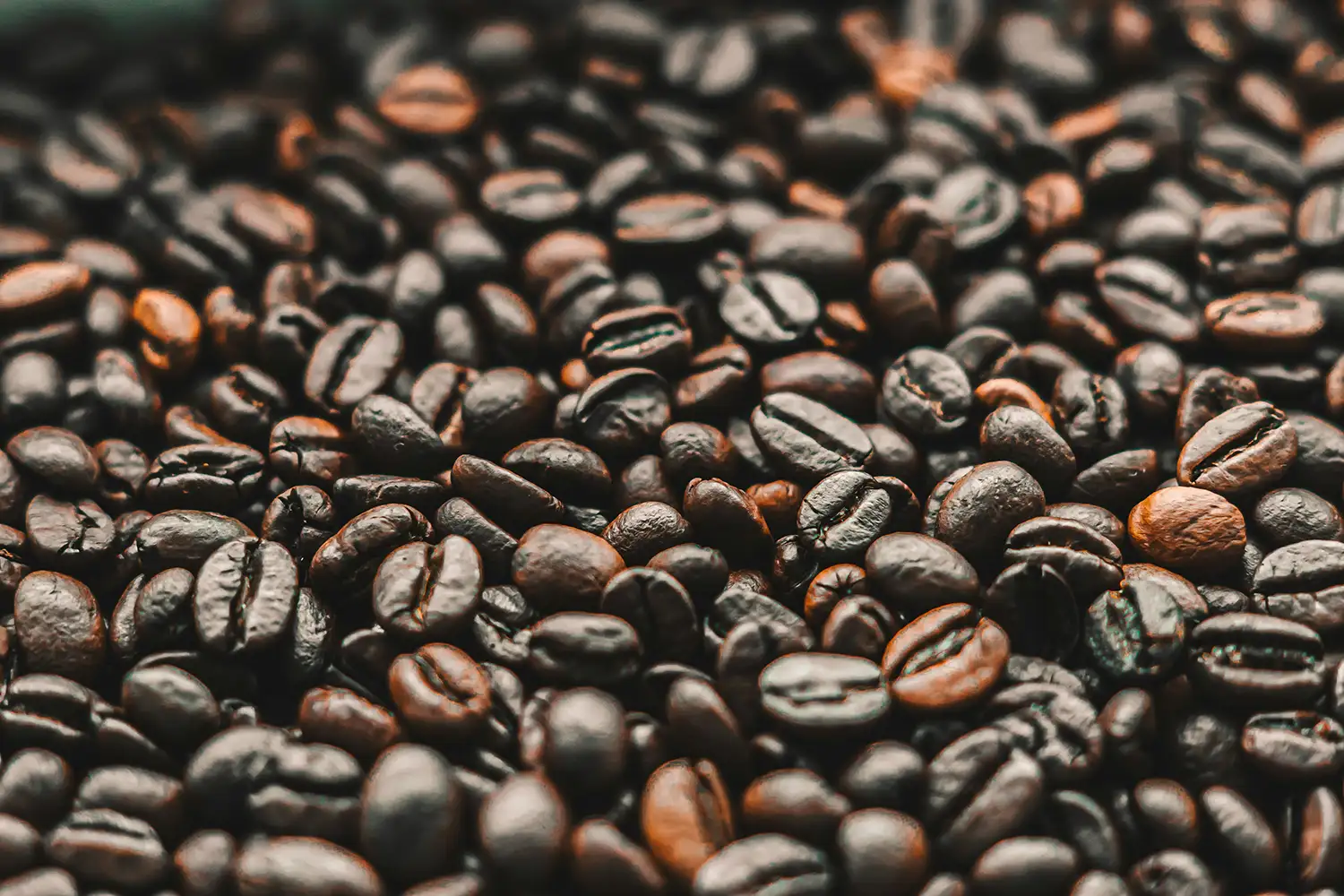 Coffee optical sorting cover